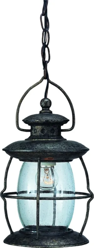 Boston Harbor BRT-CDC1701 Outdoor Pendant Lantern, 120 V, 60 W, Steel Fixture, Misty Pewter Fixture :EA: QUANTITY: 1