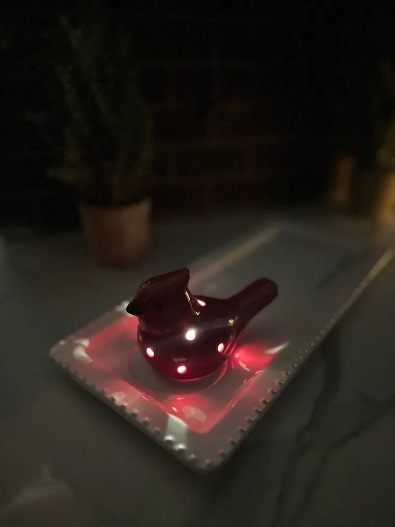 Cardinal Light Up Sitter