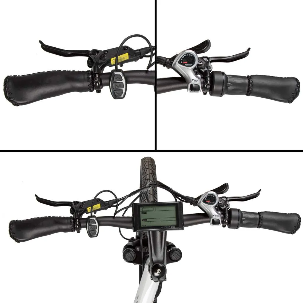 Ecotric Seagull Electric Mountain Bicycle