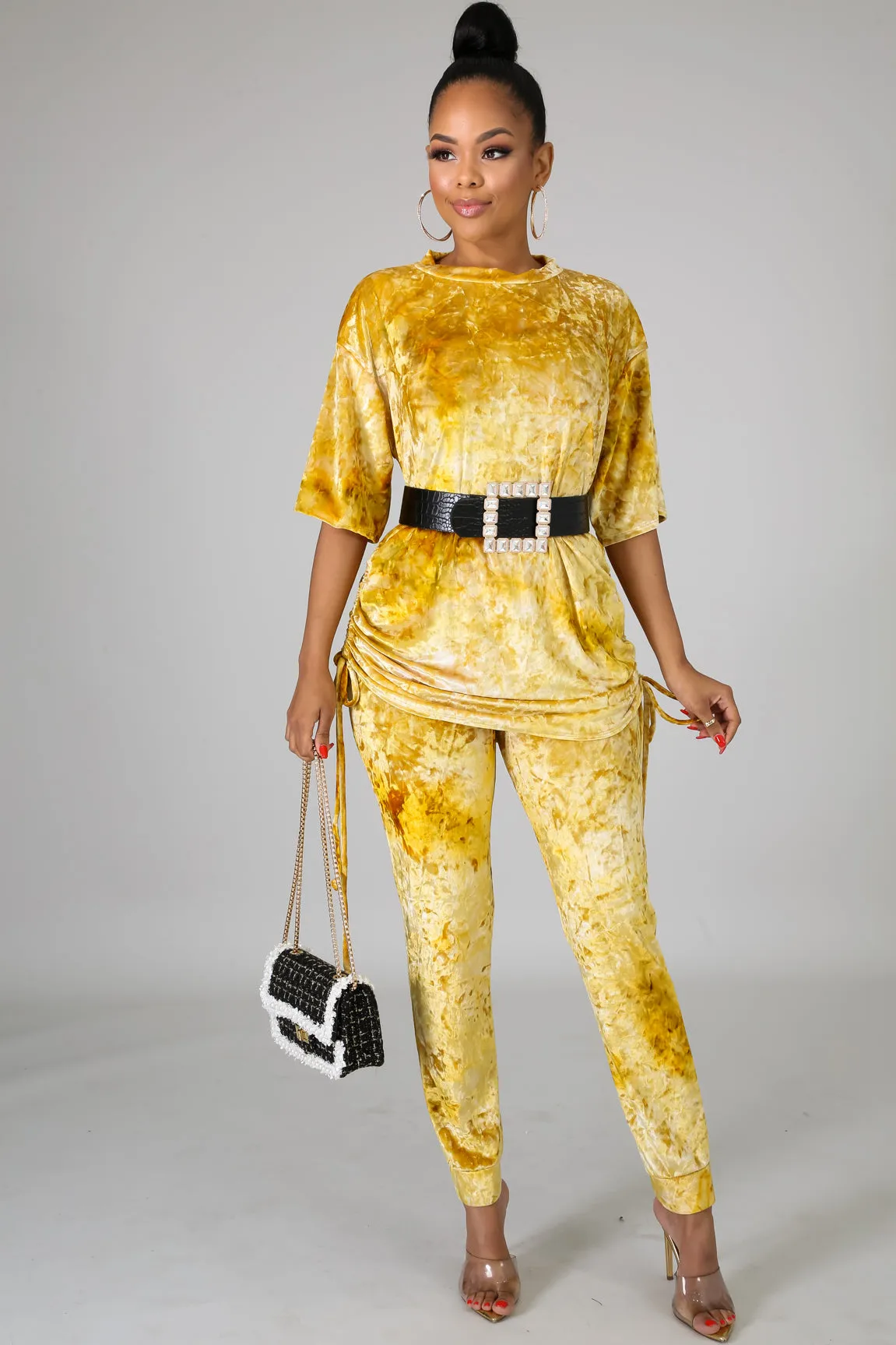 Luxurious Pant Set