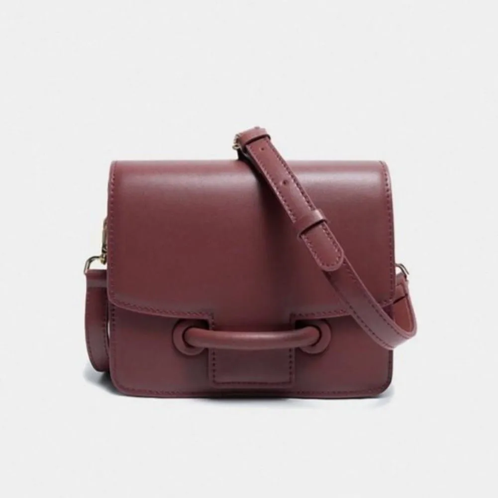 Paula Elegant Flap Buckle Leather Mini Crossbody