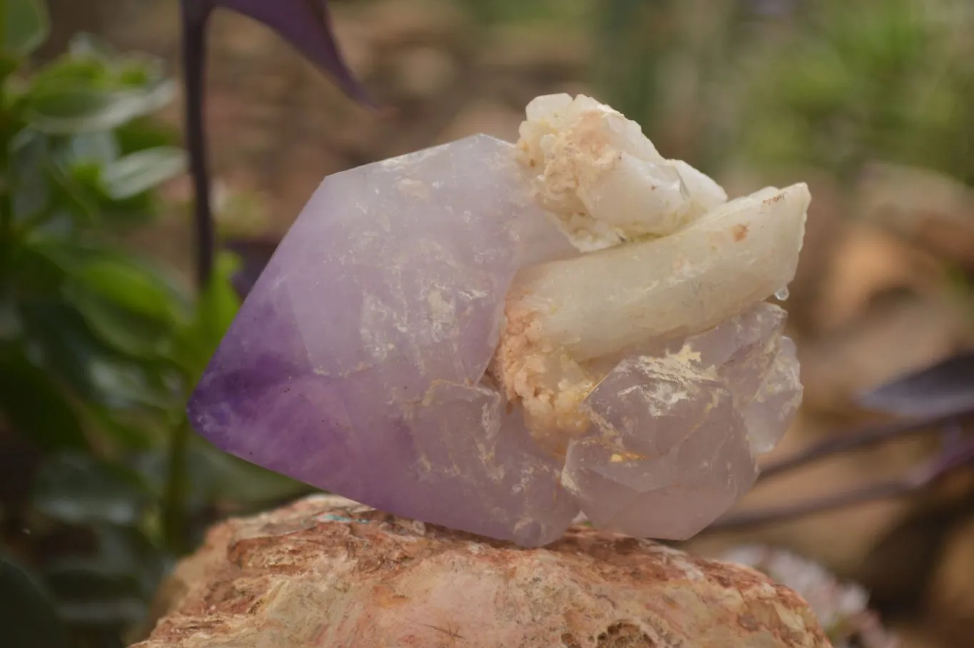 Polished  Stunning Window Amethyst Crystals x 3 From Southern Africa