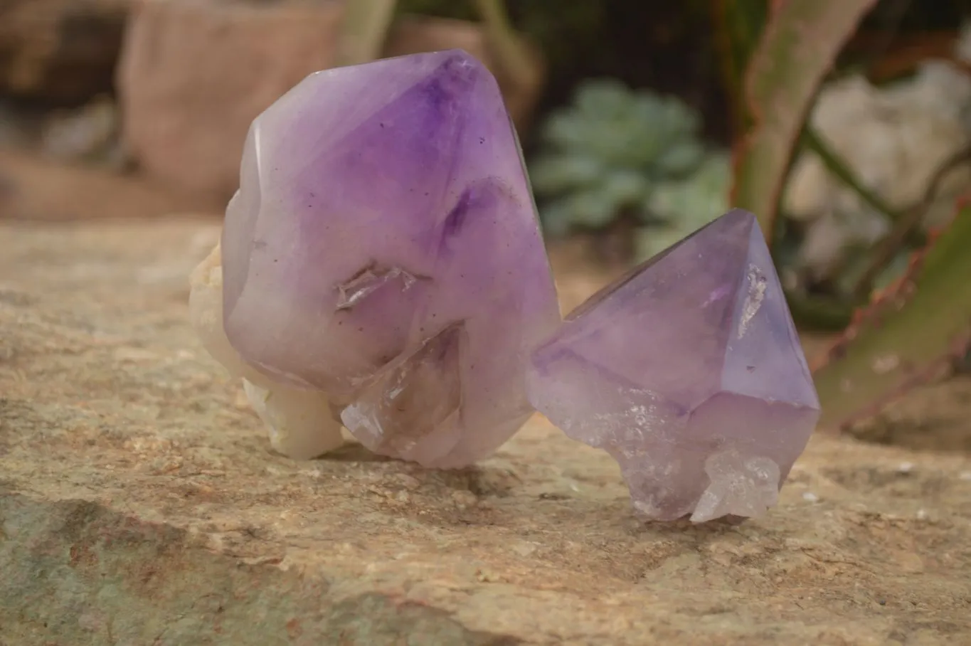 Polished  Stunning Window Amethyst Crystals x 3 From Southern Africa