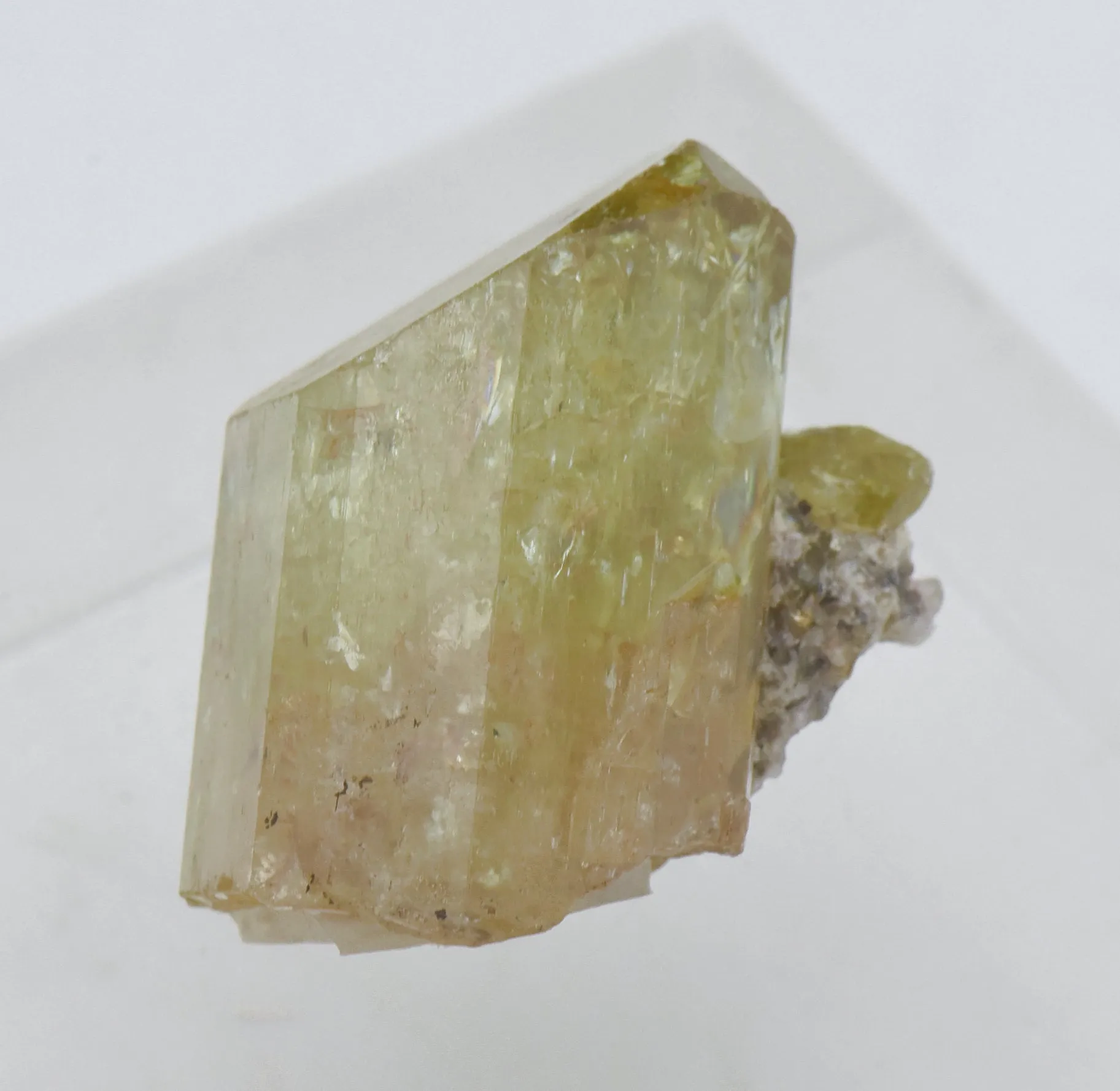 Stunning Yellow Fluorapatite Crystal Mineral Specimen - Mexico