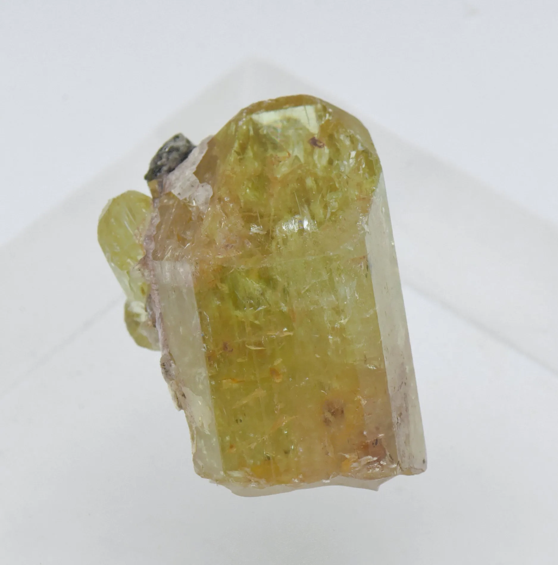 Stunning Yellow Fluorapatite Crystal Mineral Specimen - Mexico