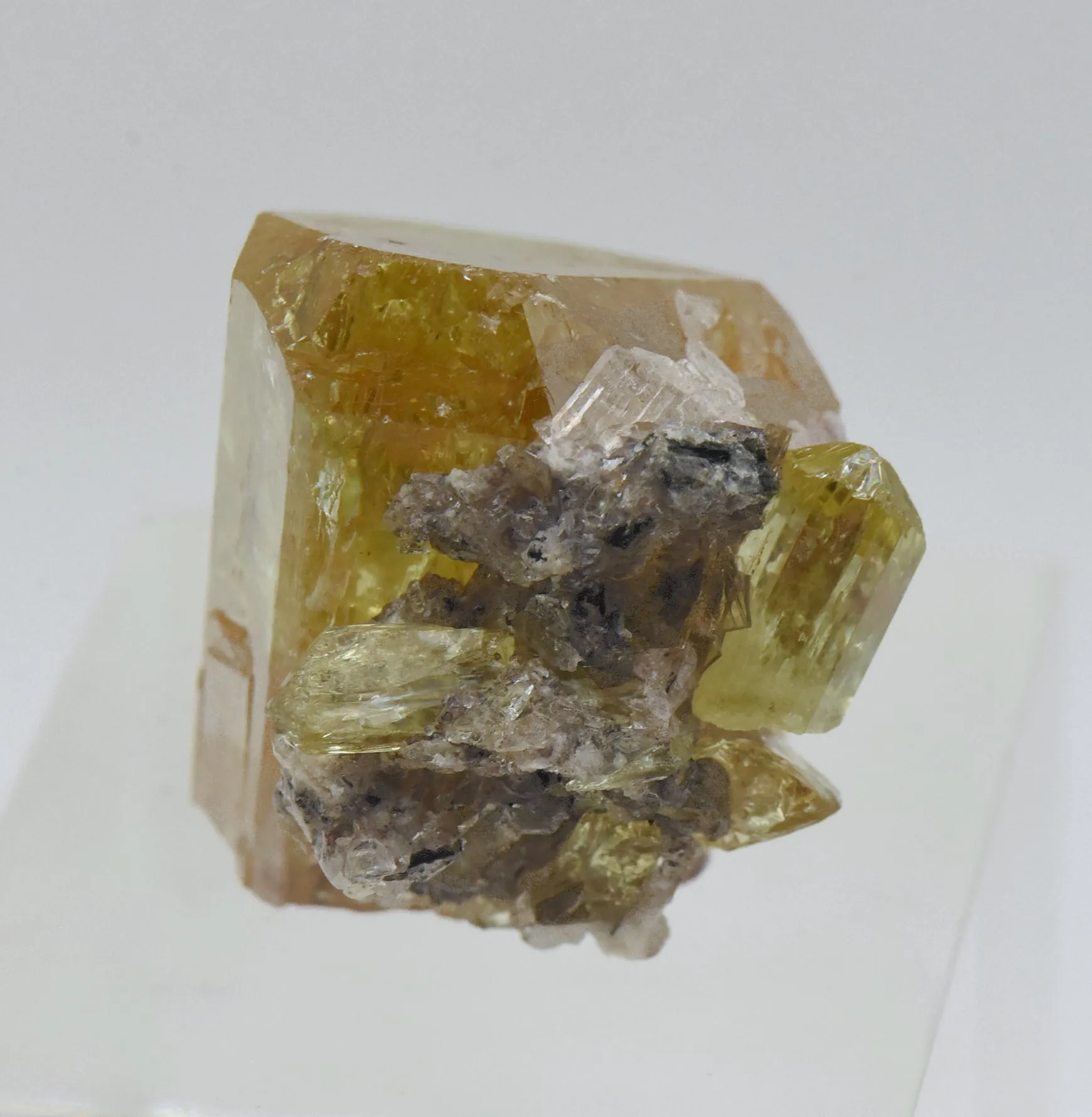 Stunning Yellow Fluorapatite Crystal Mineral Specimen - Mexico