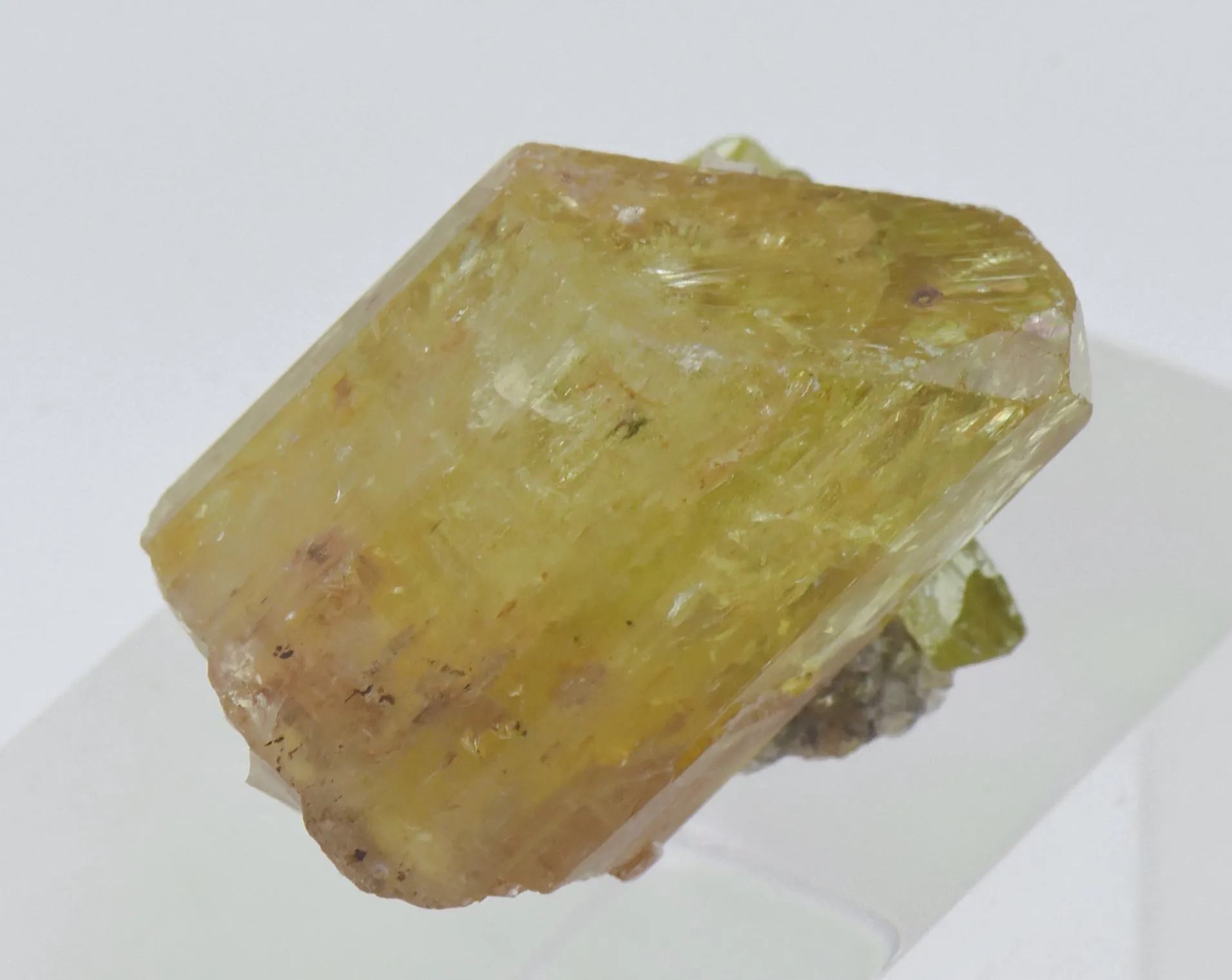 Stunning Yellow Fluorapatite Crystal Mineral Specimen - Mexico